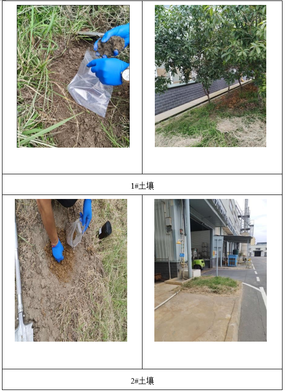 &#122;&#111;&#116;&#121;&#20013;&#27431;