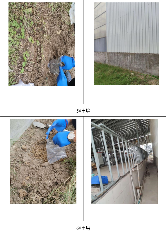 &#122;&#111;&#116;&#121;&#20013;&#27431;