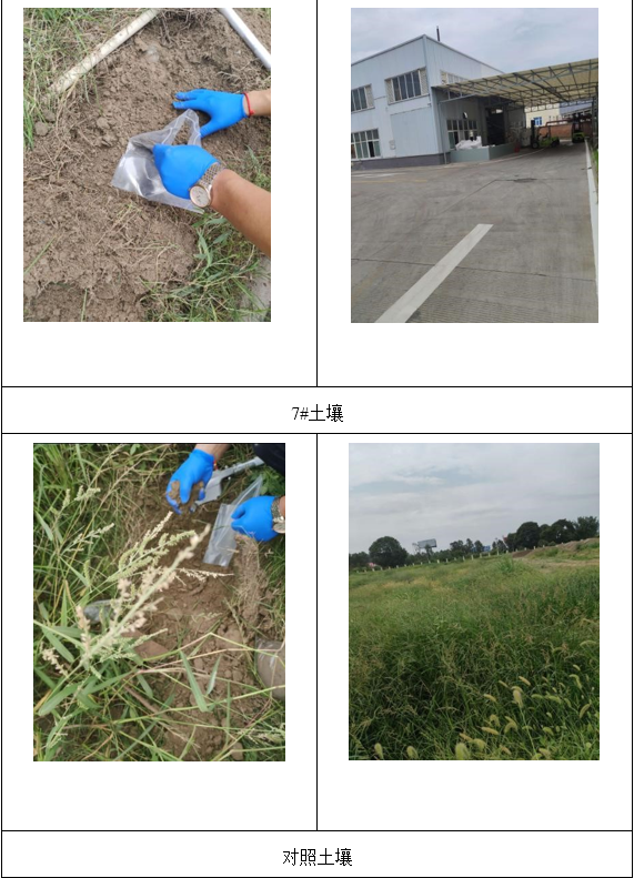 &#122;&#111;&#116;&#121;&#20013;&#27431;